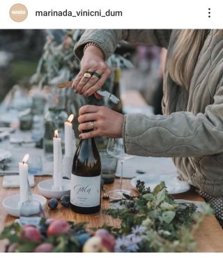 Děkujeme naší oblíbené @marinada_vinicni_dum 😊🍷